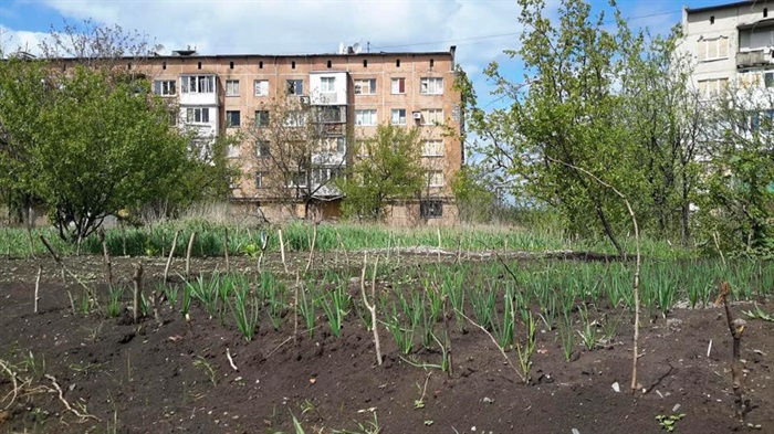 Марьинка донецкая область фото сейчас