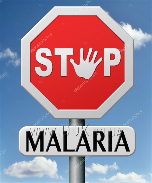 Малярия: симптомы, возбудители, лечение, советы врача