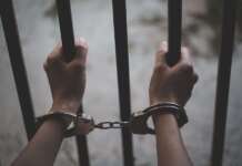 Жительку Добропілля засудили за шахрайство