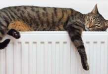 На Донеччині запустили 26 котелень.