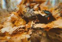 Оперативна інформація станом на 16:00 щодо російського вторгнення