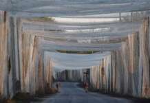 Французькі рибалки надсилають в Україну рибацькі сітки для будівництва антидронового захисту на дорогах