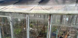 1 684 ворожих удари по лінії фронту та житловому сектору на Донеччині зафіксували поліцейські за минулу добу 16 листопада