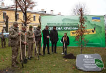 «Ліси України» заявили про висадження мільярда дерев у межах програми «Зелена країна»