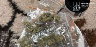 На Донеччині викрито схему незаконного збуту канабісу з обігом понад 1 млн грн