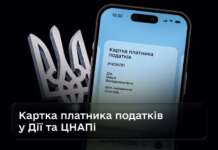 Картку платника податків можна буде отримати в Дії — Уряд ухвалив постанову