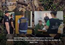 Екскерівництво Слов’янського лісгоспу обвинувачують у незаконній вирубці лісу на майже 15 млн грн