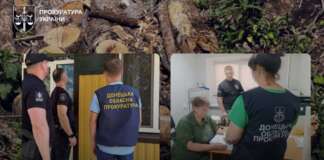 Екскерівництво Слов’янського лісгоспу обвинувачують у незаконній вирубці лісу на майже 15 млн грн