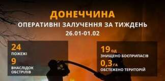 Результати роботи рятувальників Донеччини за минулий тиждень